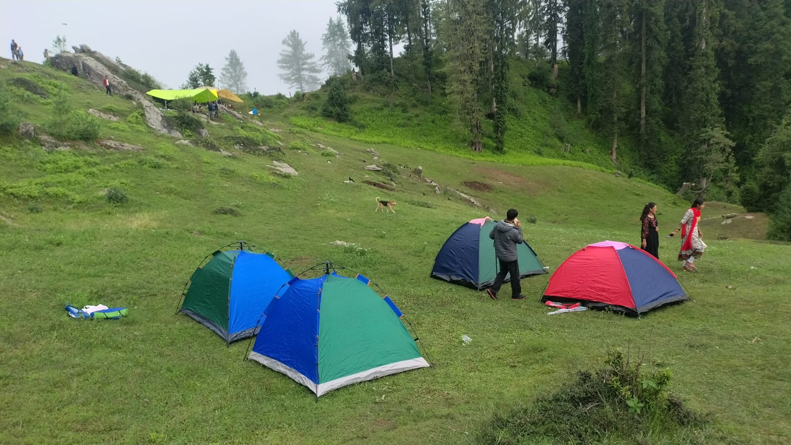 camping 