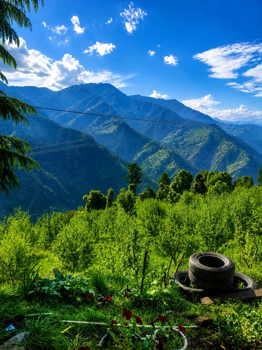 Luxury Treehouse with Mountain View 