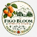 figobloomretreat